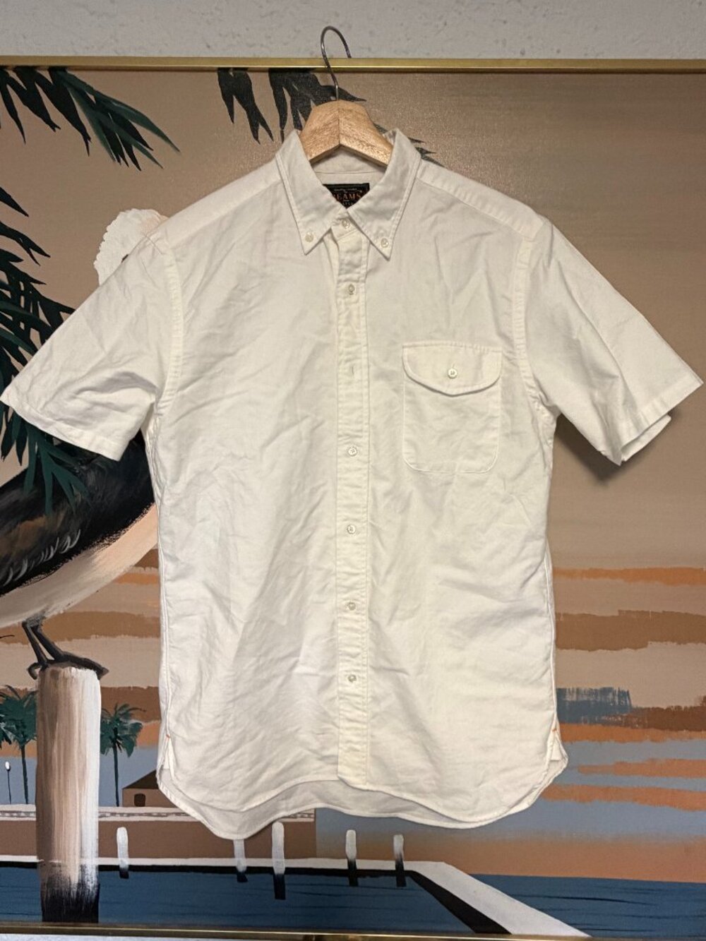 BEAMS PLUS shortsleeved oxford button-down shirt OCBD